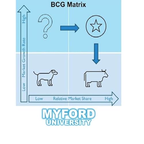 『How to Use the BCG Matrix』のカバーアート