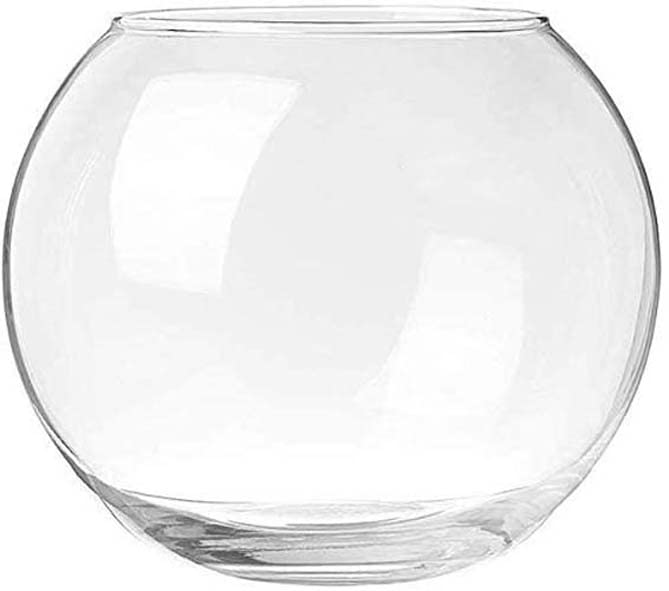 Glass Flower Pot(Vases)/Fish Rust Resistant Bowl, 6 Inches, with Free 160g Multicolour GRAVELS