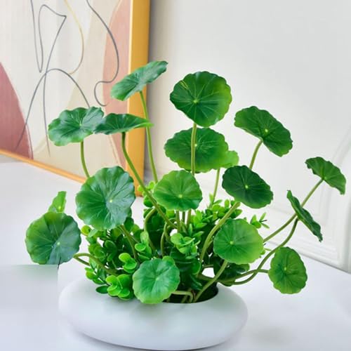 lHϗtA A A u Xe ACr[ |gX LM\E 񂵂 { CeAO[ tFCNO[ lHA ϗtA CeA EFfBO