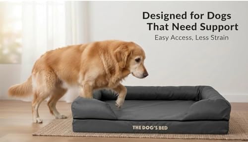 The Dog’s Bed – Orthopaedic Memory Foam Bolster Bed, Grey with Black Trim, Large - Image 5