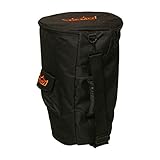 2015 Remo DK-0010-BG See Description