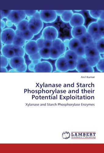 Xylanase and Starch Phosphorylase and Their Potential Exploitation
