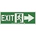 Brady 90789, Glow-In-The-Dark Exit and Directional Sign, (Pack of 10 pcs)