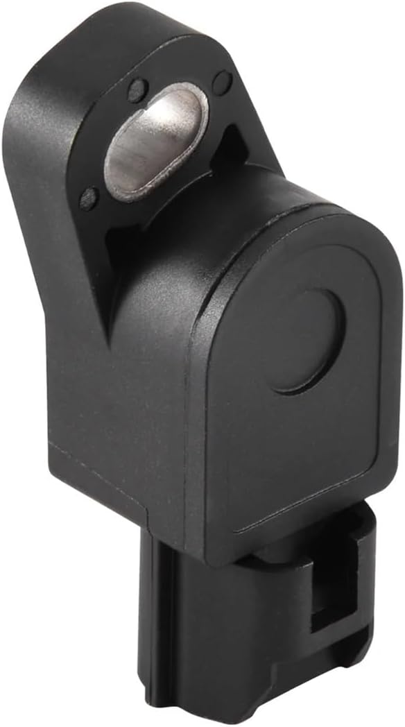 即日発送 チレコドン ペアルソニー 実生 田中元将 作家鉢セット 3寸