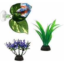 Moonorange Betta Hammock, 3 Pack Betta Fish Leaf Pad and Small Aquarium Artificial Plants, Natural Habitat for Betta Spawning Grounds, Fish Tank Decorations.3pcs/ABC