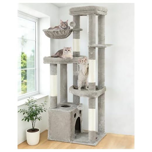 Stabiler Kratzbaum für große Katzen