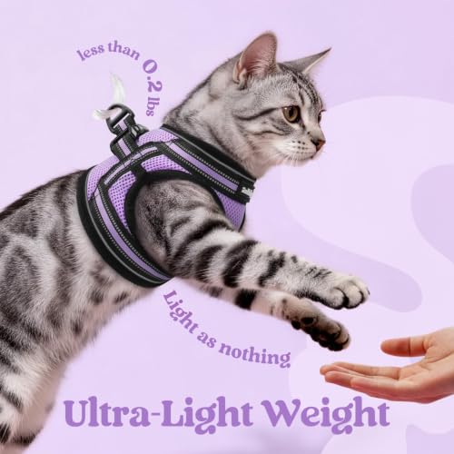 Image of rabbitgoo Cat Harness and Leash Set, Step-in Soft Vest, Light Purple | Escape Proof, Lightweight, Easy-on & Adjustable, Hook & Loop with Buckle, Reflective, for Small Cats Walks, XL