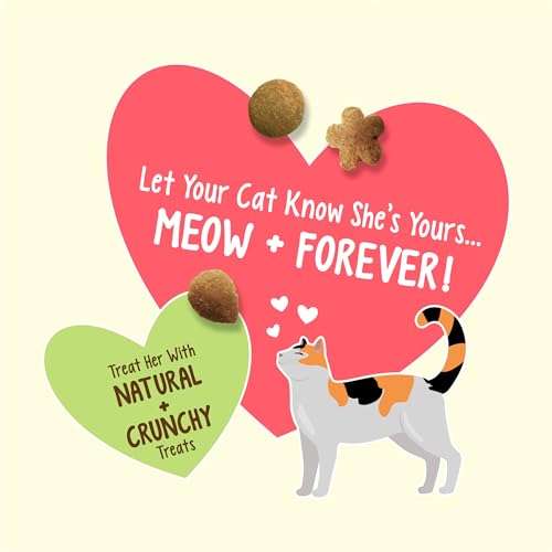 Friskies 00050000504770 Purina Friskies Made In Usa Facilities, Natural Cat Treats thumb #1