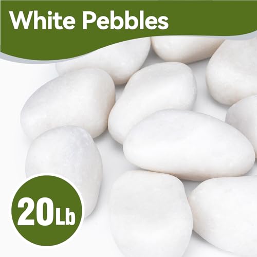 Image of Pulovin 20 lbs White Rocks for Landscaping, 2-3 Inch Large White Rocks for Plants, Decorative Polished Stones for Garden, Walkways, Yard, Plants Pots, Vases, Crafts