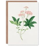 Quality Cards: Our blank greeting cards are printed onto thick, luxurious art paper. Each greeting card comes with a corresponding premium envelope.