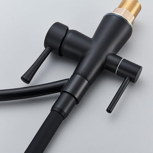 Robinet de cuisine noir mat avec double sortie eau filtrée - 4