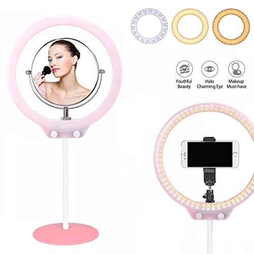 ZOMEi 10" Desktop Regulable Anillo de luz LED con Adaptador de alimentación USB Conector, Espejo, rótula y Soporte para teléfono para Maquillaje Fotografía de Retrato Youtube Video en Vivo (Rosado)