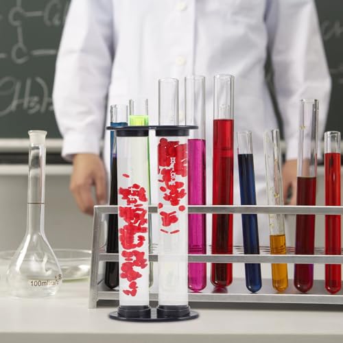 Image of Model for Teaching Educational Display for Comparison Anatomical Demonstration Tool for Schools and Hospitals High-Grade Material Simple Design