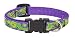 LupinePet 1/2-Inch Big Easy 8-12-Inch Adjustable Dog Collar for Small Dogs