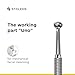 Staleks Pro Double-Ended Blackhead Remover Spoon Expert 20 Type 1 – Uno Loop & Oval Extractor with 15 Holes – Stainless Steel Tool for Pore Cleaning