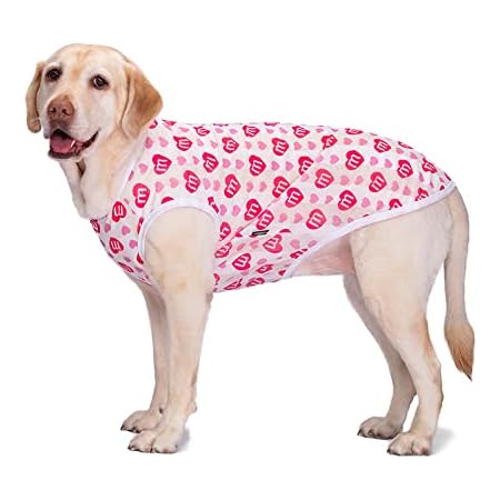 Dog collar shirts Clearance