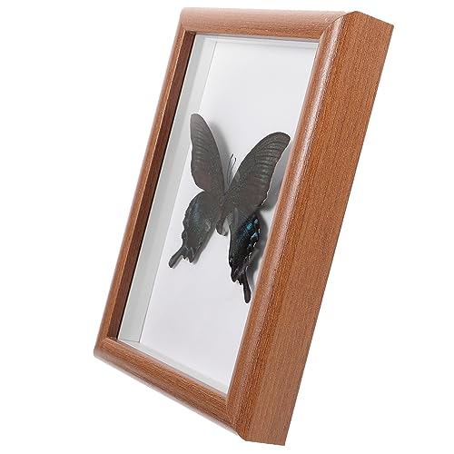 CORHAD Decoração De Casa Foto Prop Espécime Pingente Ornamento De Casa Lona Decoração De Parede Exib