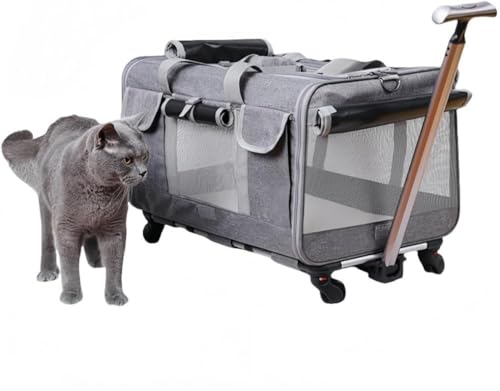 Zeruho L L[obO ybg L[J[g Lp L[ J[g 2CLp LX^[t X[cP[X |[^uX[cP[X e ܂ݎ obO g\  Lp bNL[ U s ʉ@ g[[P[X 