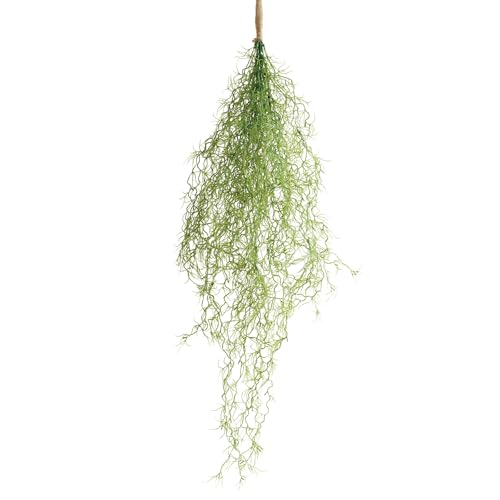 {^jJCtvX(Botanical life+) ϗtA tFCNO[ ݂艺 XpjbVX G} L R