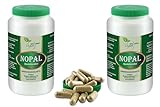 VITA IDEAL Vegan