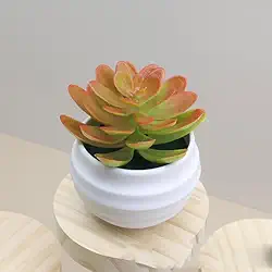 Plantas suculentas artificiais em vasos, pequenas plantas falsas para quarto, estética, sala de estar, escritório, decoração de banheiro (vermelho)