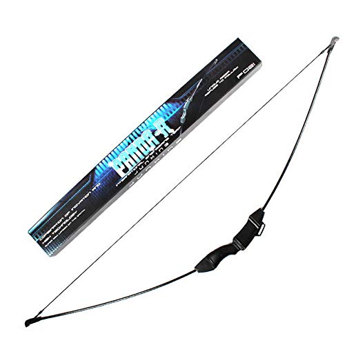 Clianle Arc et flèche recurve Set pour adultes, Takedown Arcs