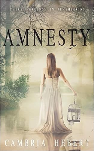Amnesty: Amnesia duet book 2 book cover