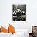 5D Diamond Painting Kits for Adult, Cute Panda Diamond Art Kits for Beginners Fun DIY Crafts Round Diamond Art Canvas Home Wall Decor 16