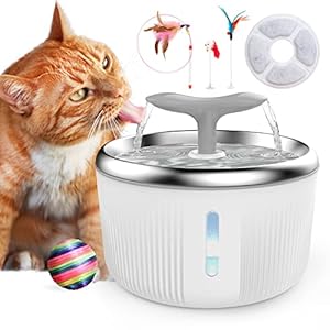PewinGo Katzen Trinkbrunnen Edelstahl, Trinkbrunnen für Hunde Haustier Katzenbrunne rutschfest Automatisch Katze Wasserspender mit LED Nachtlicht, 4 Spielzeug and 1 Aktivkohlefilter – 2L