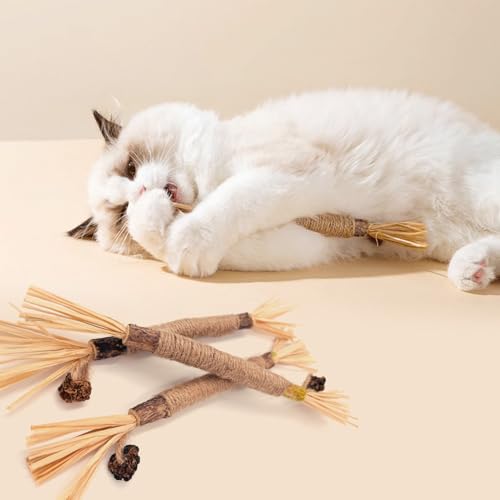 ANMOYIXIA Katzenminze Sticks Kaustangen Katze Katzensticks Katzen Kauhölzer Sticks für Katzen Zahnpflege und Gegen Mundgeruch (3 Stück)