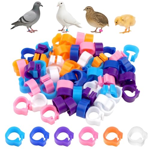 60 Pcs 8mm Bird Leg Rings - 6 Colors Random