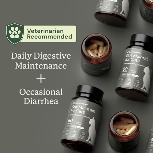 Image of Animal Biome Cat Pre and Probiotic, S Boulardii, Gut Maintain, 30 Capsules | Triple-Action Cat Probiotics, Prebiotics & Phage Supplements for Gut Health, Hairballs, Diarrhea Support, Open as Food Topper