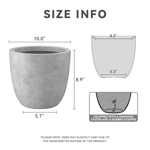 Image of Kante Small Round Bowl Pale Gray Concrete Planter 10 inch Dia, Outdoor