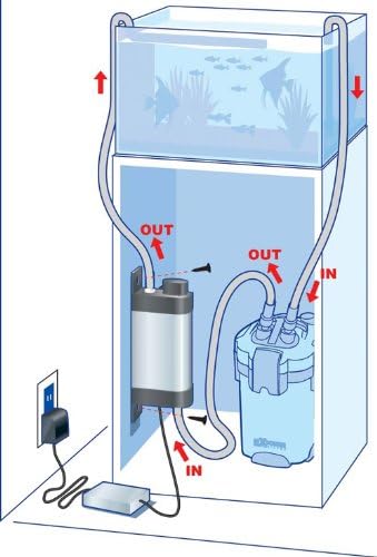 Amazon テトラ Tetra その他 魚 1個 X 1 テトラ Tetra ライト 照明 通販