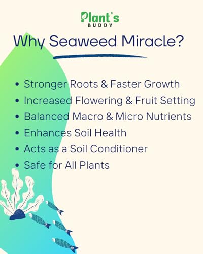 Image of PLANT'S BUDDY Seaweed Miracle - 100% Organic Seaweed Liquid Fertilizer for plant | Boosts Growth, Flowering, Fruit Quality & Soil Health | For All Plants - Foliar & Soil Application - 250ml