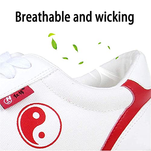 Tai Chi Kung Fu Shoes for Women, Martial Art Sneaker Chinese Traditional Female Qi Gong Beijing Trainer Wing Chun Slipper4