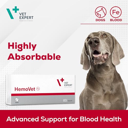 VetExpert HemoVet | 60 Tabletten | Ergänzungsfuttermittel für Hunde | Enthaltene Komponenten sind am Prozess der Hämatopoese beteiligt | Mit Eisen, Kupfer, Folsäure & Vitaminen