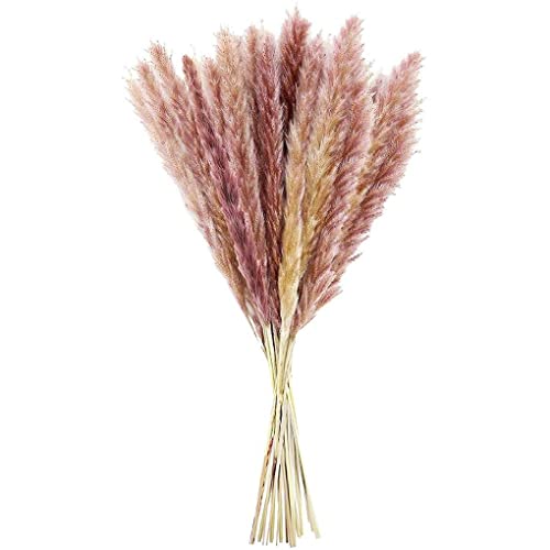 IKEEYUIS 15 Peças Secas Grama Pampa Flor Cacho Natural Buquê Decoração Doméstica Romântica DIY Cana