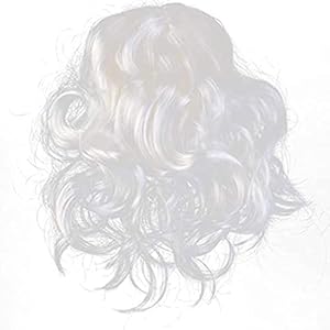 Kerstman Pruik en Baard Set, One Size Past Alle Kerstman Baard & Haar Set, Xmas Vader Kerst Fancy Dress Accessoire