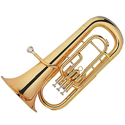 S[hbJ[^J[tHjA3sXgg[Bbw[tHjA