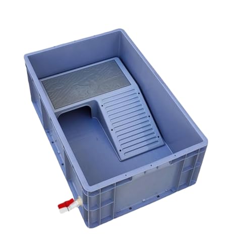 Fiozwea ^JAƒpAsh~Aʐ݂̂fށAJAA঒ނ̎pA瑤ʔrvX`bN (C)