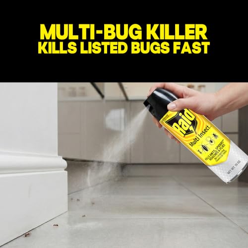 Image of Raid Multi Insect Killer, Kills Ants, Roaches, Spiders and Other Insects on Contact, For Indoor and Outdoor Use, 15oz