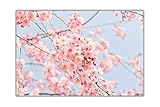 Poster Wunderschönes japanisches Kirschbaum Wandposter Blumenbilder Landschaftsdekoration40x50cm