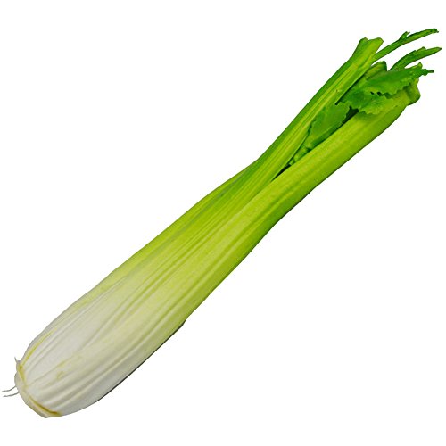 Transcend11 1pc Simulated Celery Artificial Lifelike Fake Vegetable Home Party Market Display Kids Toy Kitchen Decoration Photography Props