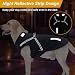 Hundemantel, Winter Hundejacke Wasserdicht Winddichte mit bauchschutz, Outdoor Hunde Wintermantel Hundeweste mit Fleece Gefütterte Reflektierend für Kleine Mittelere und Große Hunde