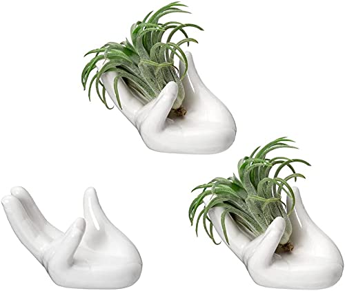 Dahey Air Plant Holder Cute Ceramic Mini Hand Shape Stand Airplants Tillandsia Small Container Pot Plant Decorative Home Decor For Desk Table Shelf,White,3 Packs #TOP5