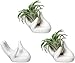 Dahey Air Plant Holder Cute Ceramic Mini Hand Shape Stand Airplants Tillandsia Small Container Pot Plant Decorative Home Decor for Desk Table Shelf,White,3 Packs