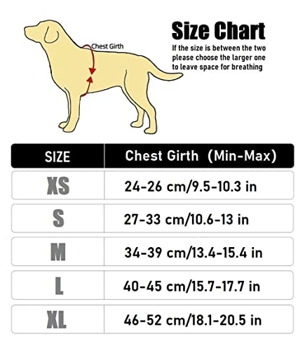 CROWATTS Dog Harness with Leash Set,Soft Mesh Comfortable Puppy Harness,Adjustable Reflective Vest Harness for Small… - Image 2