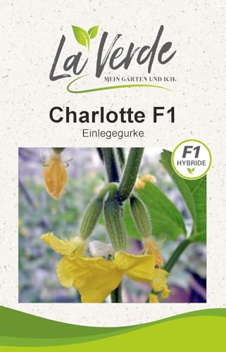 La Verde MEIN GARTEN UND ICH. Charlotte F1 Gurken Samen für ca. 40 Pflanzen, ertragreiche Einlegegurke, bitterfrei und multiresistent, Saatgut ohne Gentechnik