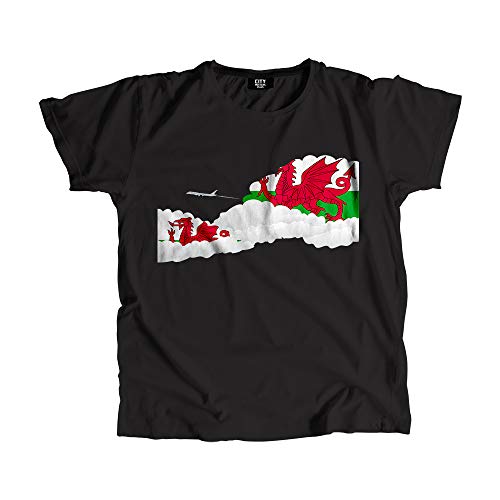 T-shirt Pays de Galles avec motif avion de ligne en maille douce et finitions soignées